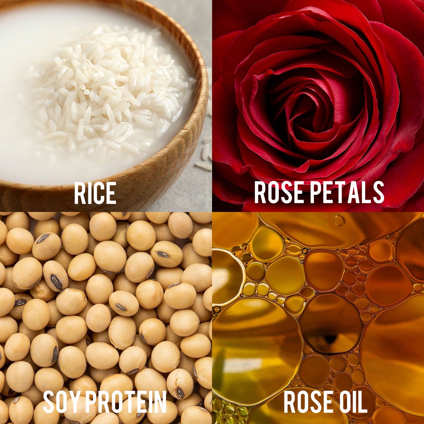 Milk and Rose Uptan
